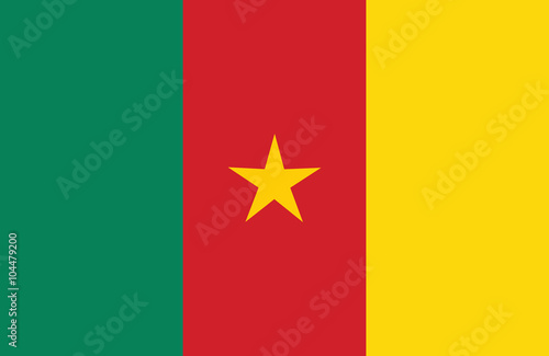 Cameroon flag.