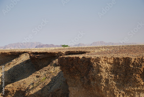 Stony desert plane broken by canyon, green tree and mountains in the background