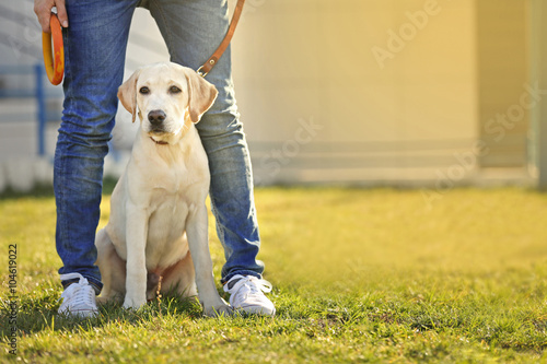 Owner and Labrador dog sitting on green grass