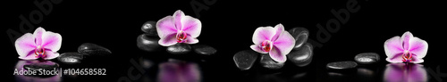 Horyzontalna panorama z różowymi orchideami i zen kamieniami na czarnych ba