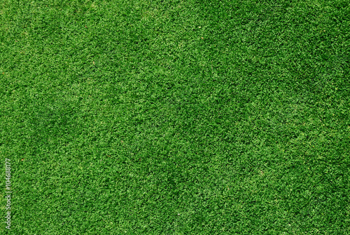 real green grass background