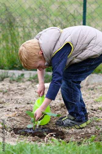 Little Boy Garden