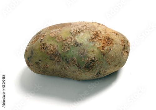 Potato scab