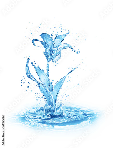 flower figure made of water on white background
