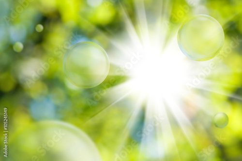 bright sun on natural green background