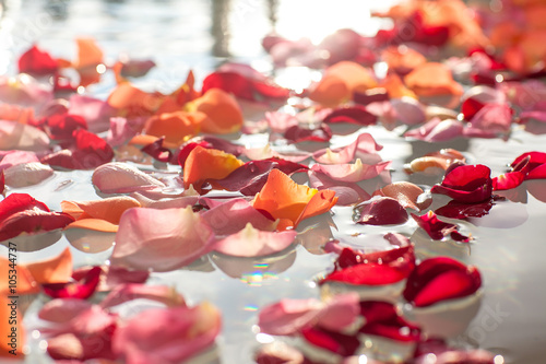 Rose petals in the water