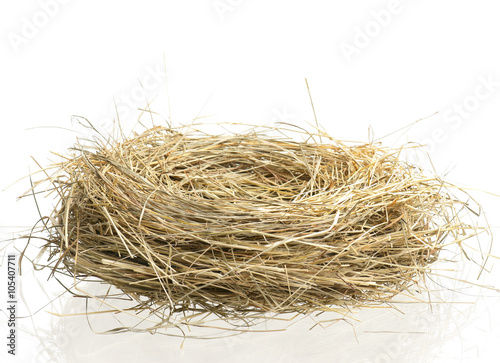 Empty birds nest