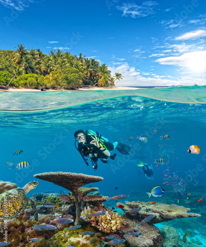 Underwater coral reef with scuba divers