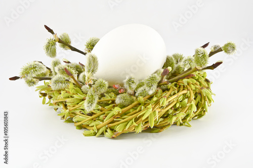 Jajko w gniazdku z wierzbowych gałązek i bazi na białym tle. Wielkanoc. Wiosenna, wielkanocna dekoracja na białym tle .