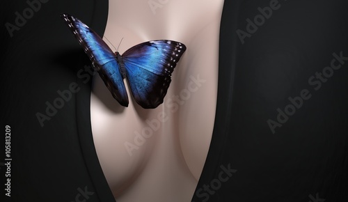Butterfly on woman brest sexy