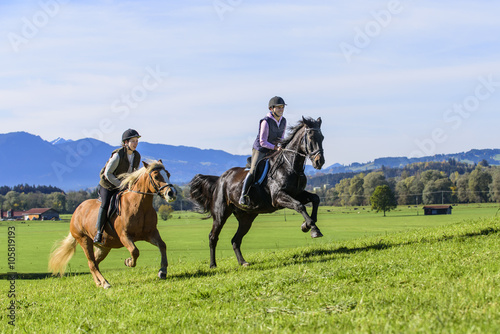 dynamischer Ausritt auf sportlichen Pferden