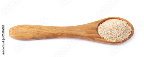 Wooden spoon filled with dry yeast