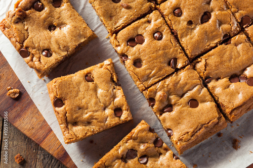 Homemade Chocolate Chip Blondies