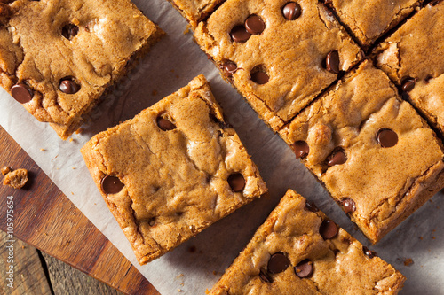 Homemade Chocolate Chip Blondies