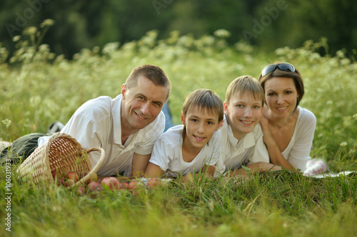 Family having picnic 
