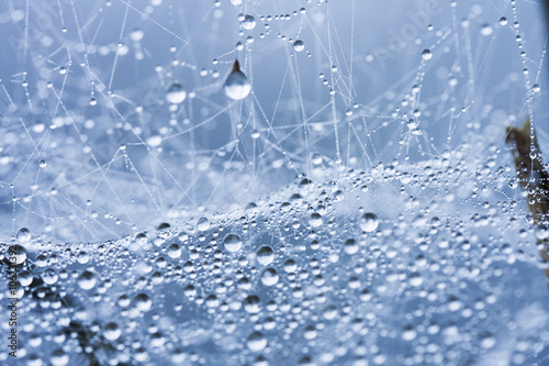 Abstract composition from nature, with many beautiful water drops on spiderwebs