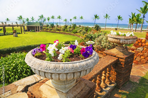 beautiful garden at the beach of Durban, South Africa.