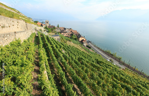Lavaux vineyards, unesco world heritage, Switzerland