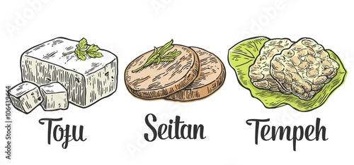 Set Vegan and Vegetarian food. Tofu, Seitan, Tempeh . Vector color vintage engraved illustration isolated on white background