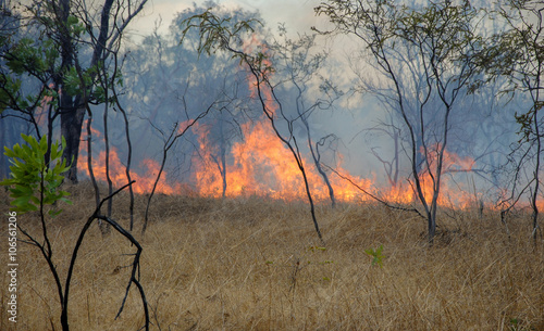 bushfire in Austrlian outback Nitmiluk National Park, Northern Territory, Australia