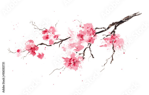 Sakura branch. Original watercolor painting.