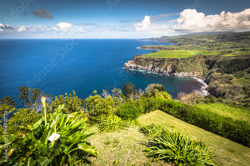 Green island in the Atlantic Ocean, Sao Miguel, Azores, Portugal