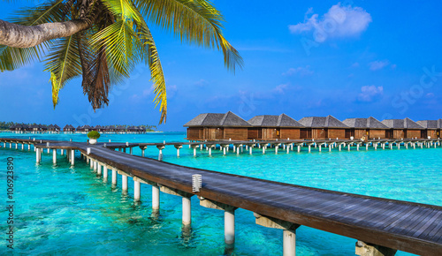 luxury vacation in Maldives - water bungalow