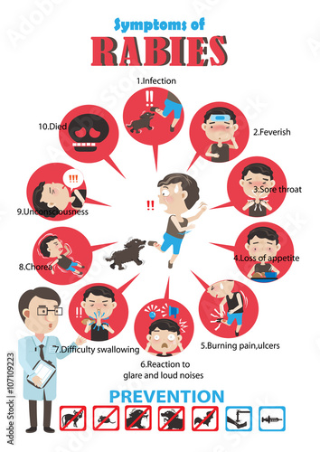 Rabies cartoon in circles Info Graphics.Vector illustrations