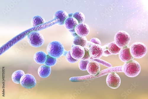 3D illustration of fungi Candida albicans which cause candidiasis, thrush, on colorful background. Pathological fungus or yeast. Microscopic view. Medical background. Healthcare background