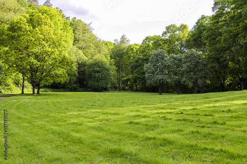 Large clearing in the woods.