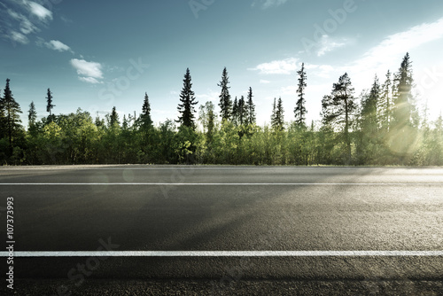 asphalt road in forest