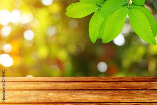 wooden table green leaves on spring bokeh nature background