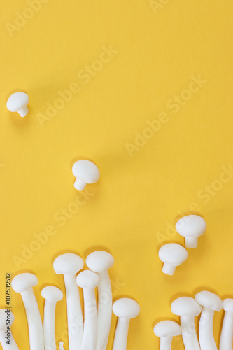 White Shimeji mushroom on yellow background flat lay