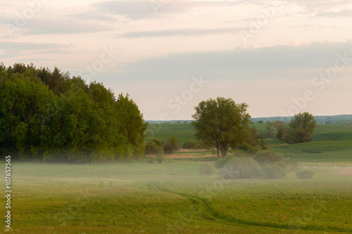 Warmia i Mazury - pola i drogi.