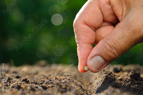Farmer's hand planting a seed in soil