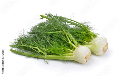 fennel on white background