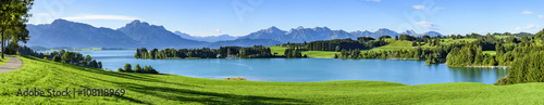 Idyllischer Ausblick auf den Forggensee und den ostallgäuer Alpenrand im Sommer