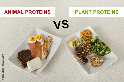animal versus plant proteins