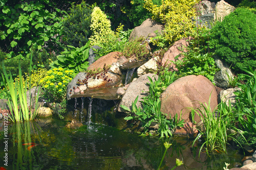 Rockery and pond