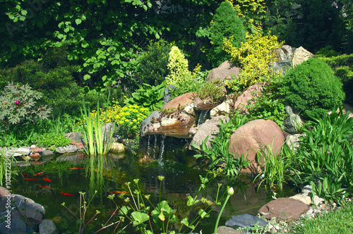 Rockery and pond