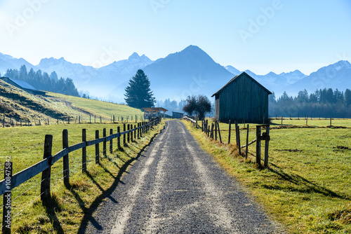 Trekking path surrounded by the Alps