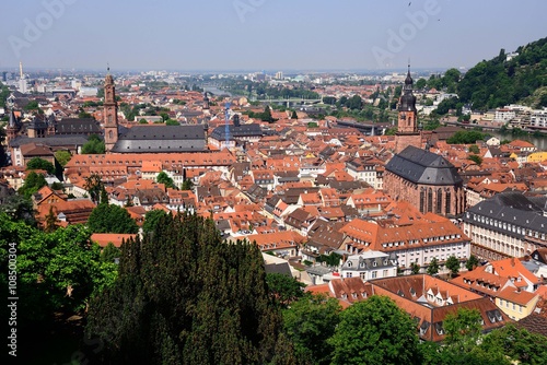 城から眺める中世の街ハイデルベルクと石橋 見るからに中世の街という感じがして圧倒された。