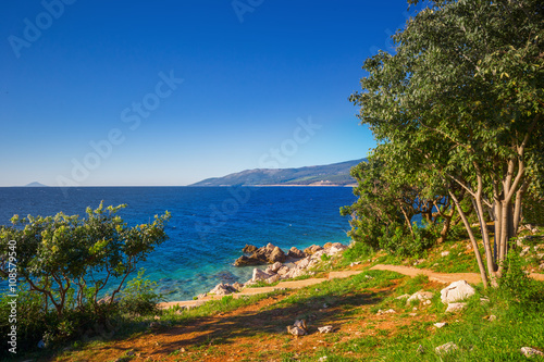 Amazing rocky beach with cristalic clean sea water with pine trees n the coast of Adriatic Sea, Istria, Croatia