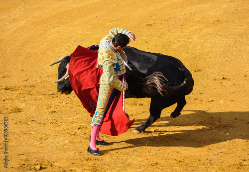 Torero y toro, tauromaquia, España