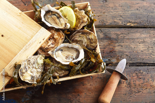 Wooden box of fresh oysters with a shucking knife