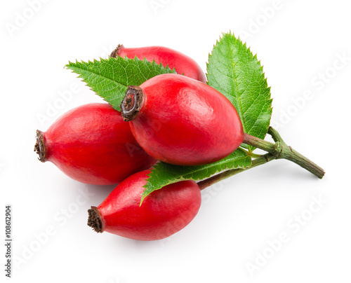 Rose hip isolated on a white background.