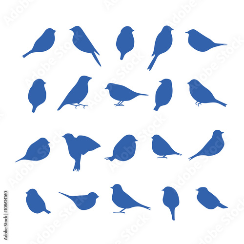 Vector set of bird silhouettes.