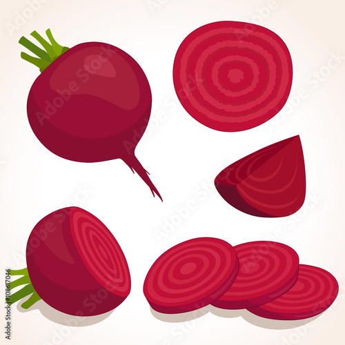 Vector beets isolated on background. Red beetroot whole, cut, sliced. Set of fresh beets in different forms.