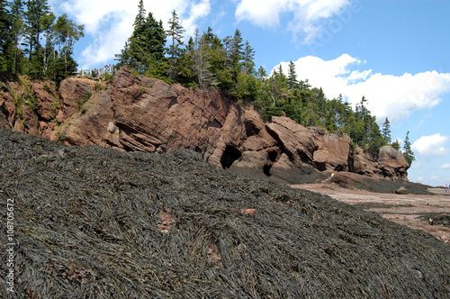 Hopewell Rocks in der Bay of Fundy bei Ebbe, Kanada