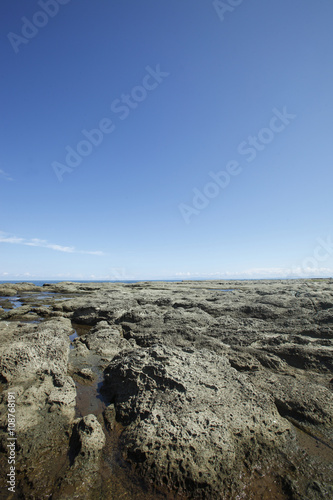 千畳敷海岸1792年（寛政4年）の地震により隆起して出来た岩床の海岸です